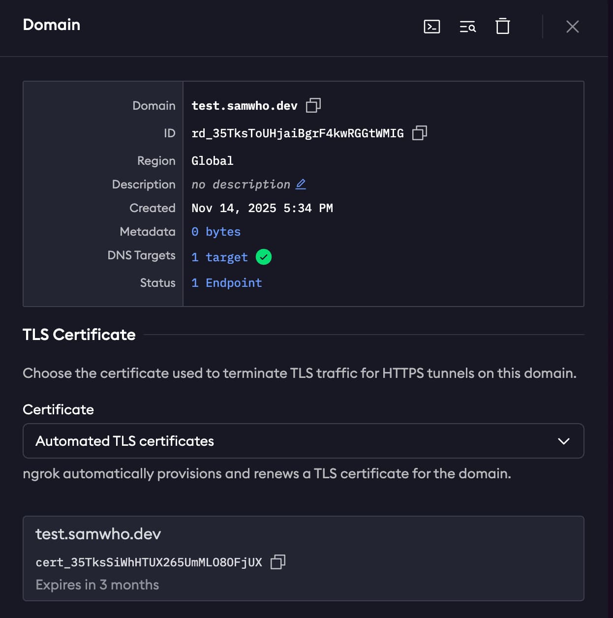 A domain successfully setup in ngrok