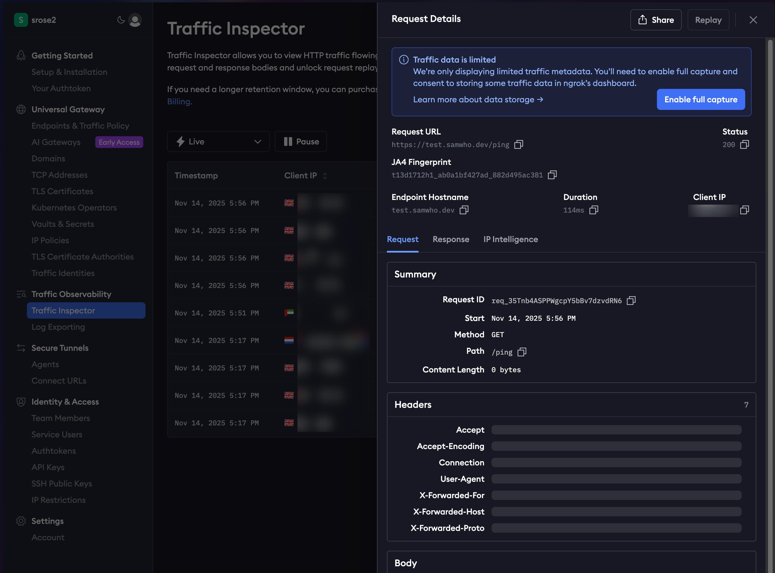 Traffic Inspector showing a request